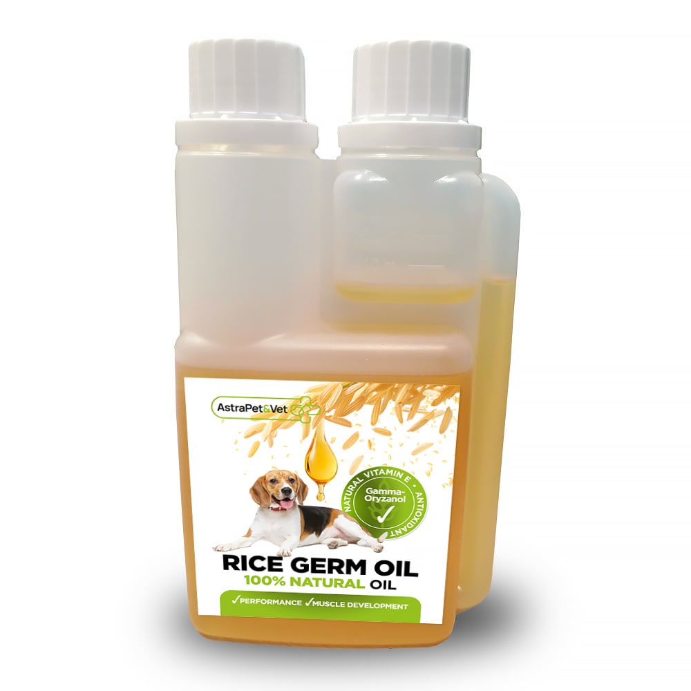 RICEOIL-Mockup